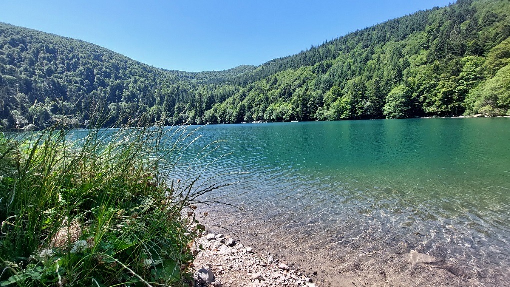 Lac du Ballon in de Vogezen