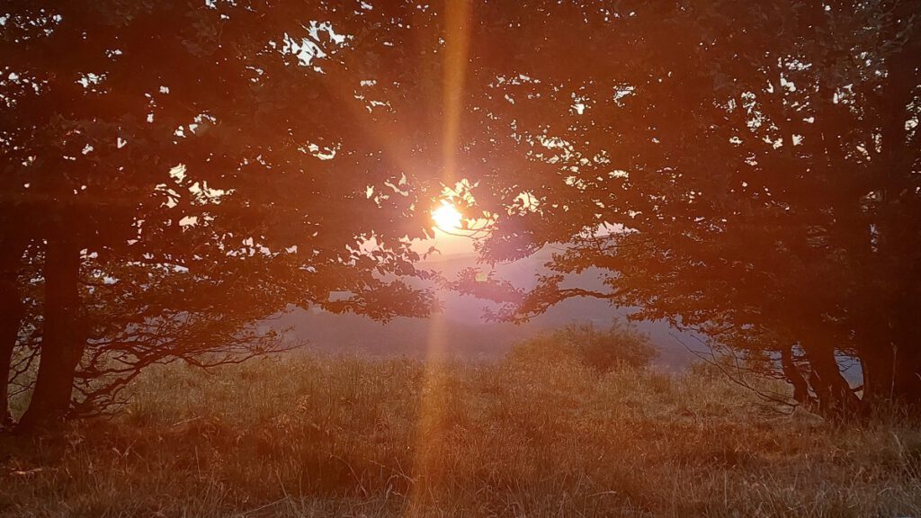 Zonsondergang op de Grand Ballon in de Vogezen