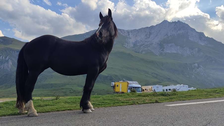 Loslopend paard in de Pyreneeën met truck hotel op achtergrond